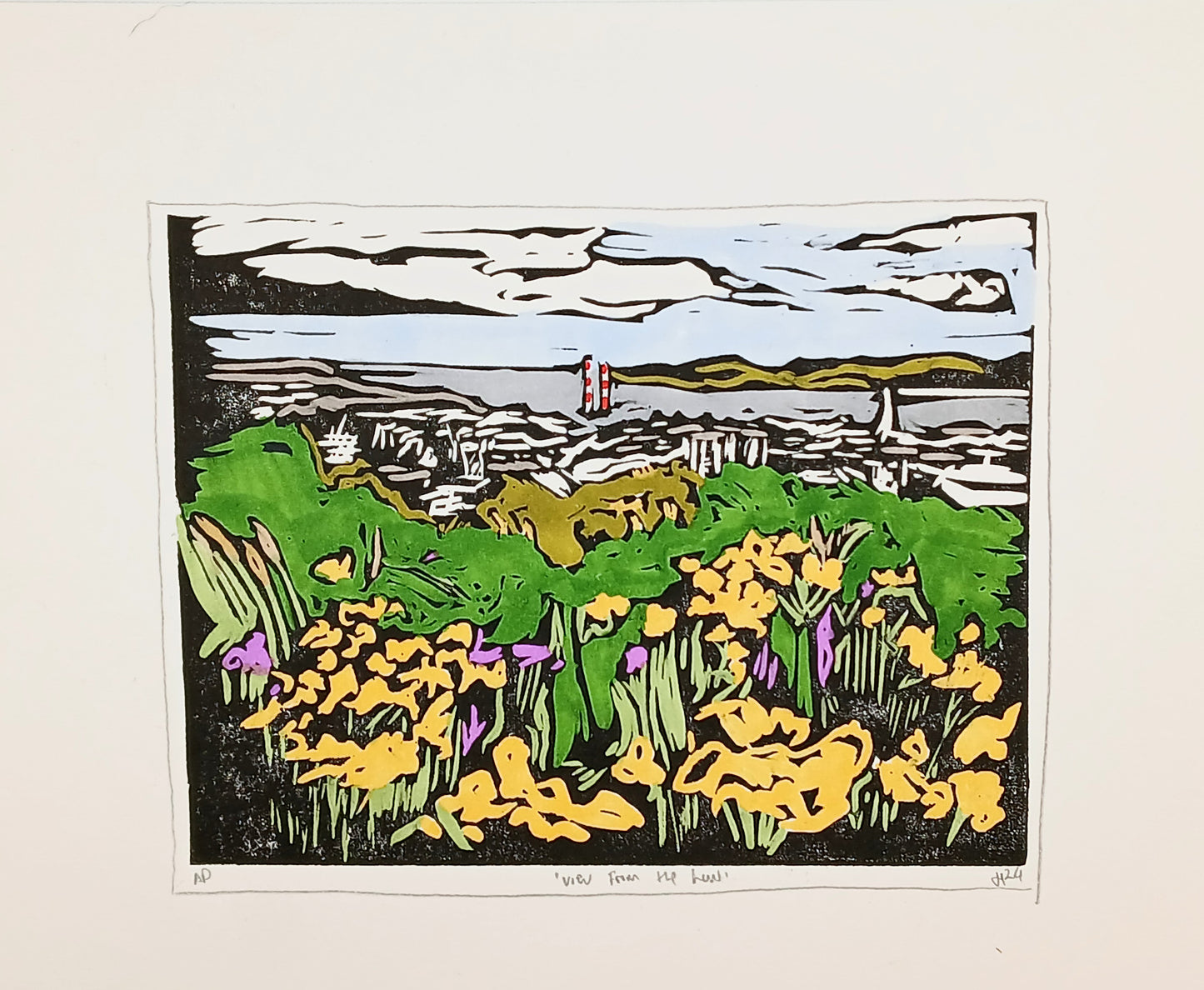 Original "View From The Law" 2020 print