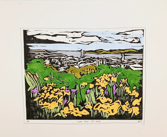 Original "View From The Law" 2020 print