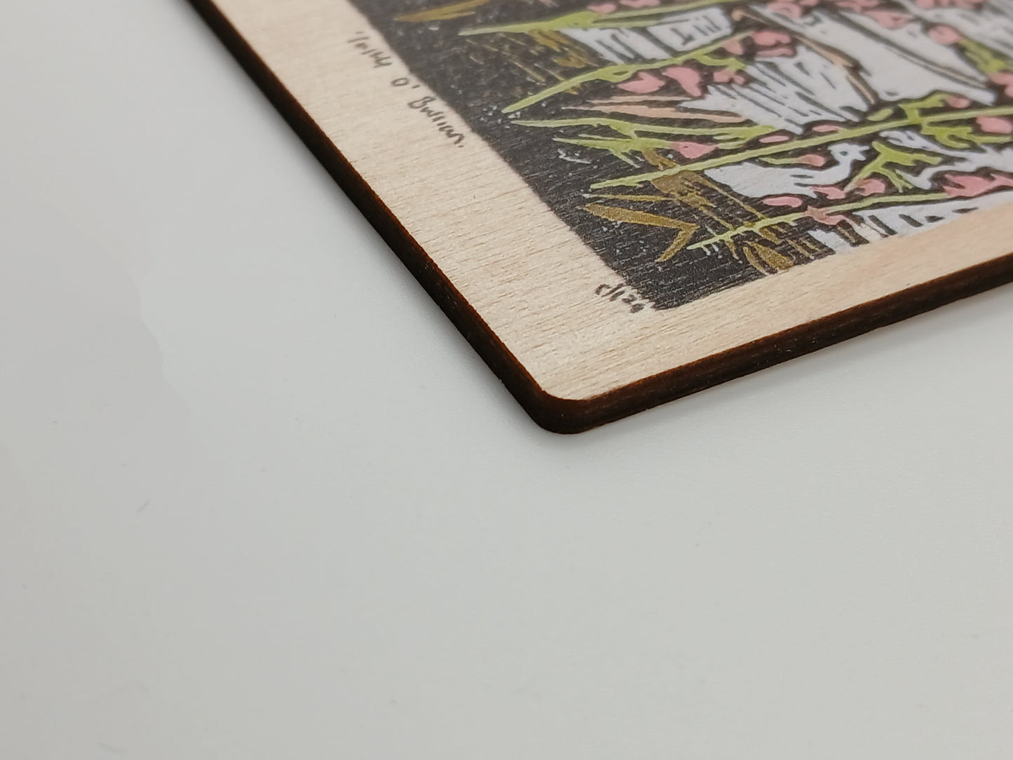 Cycling Views Wooden Postcard "Apricity"