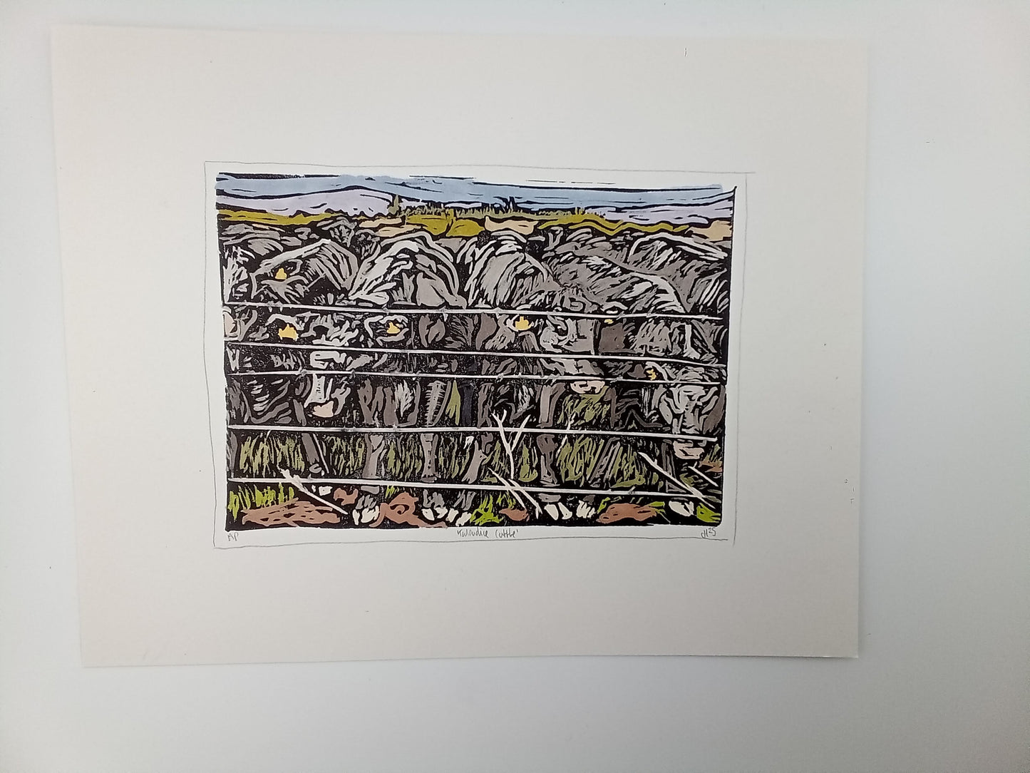Original "Tannadice Cattle" 2025 Print