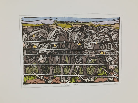 Original "Tannadice Cattle" 2025 Print